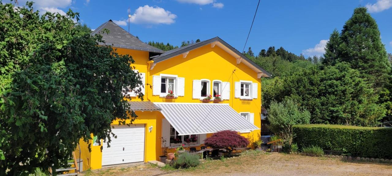Gite Forestier Du Moulin Raon-sur-Plaine Dış mekan fotoğraf
