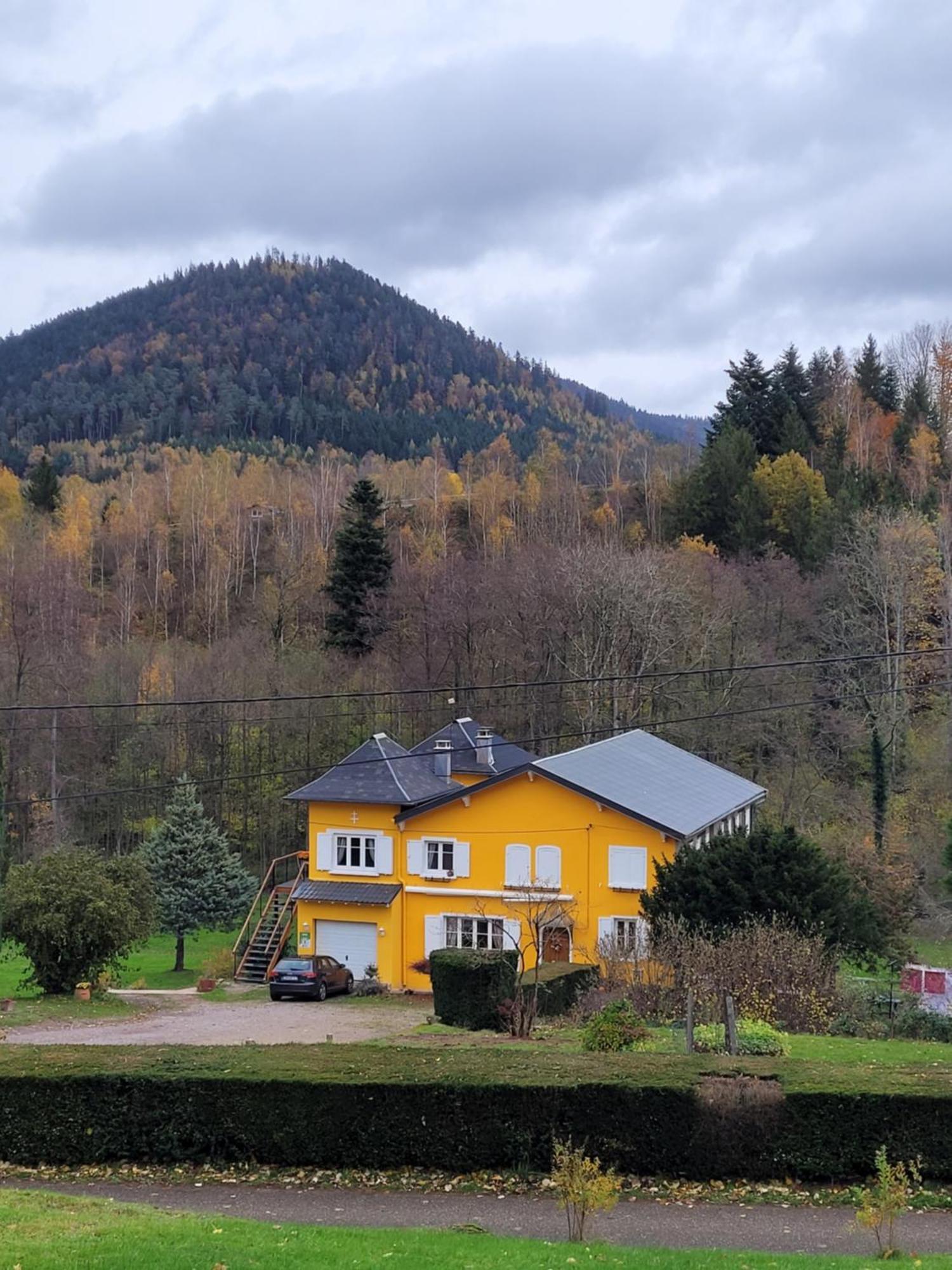 Gite Forestier Du Moulin Raon-sur-Plaine Dış mekan fotoğraf