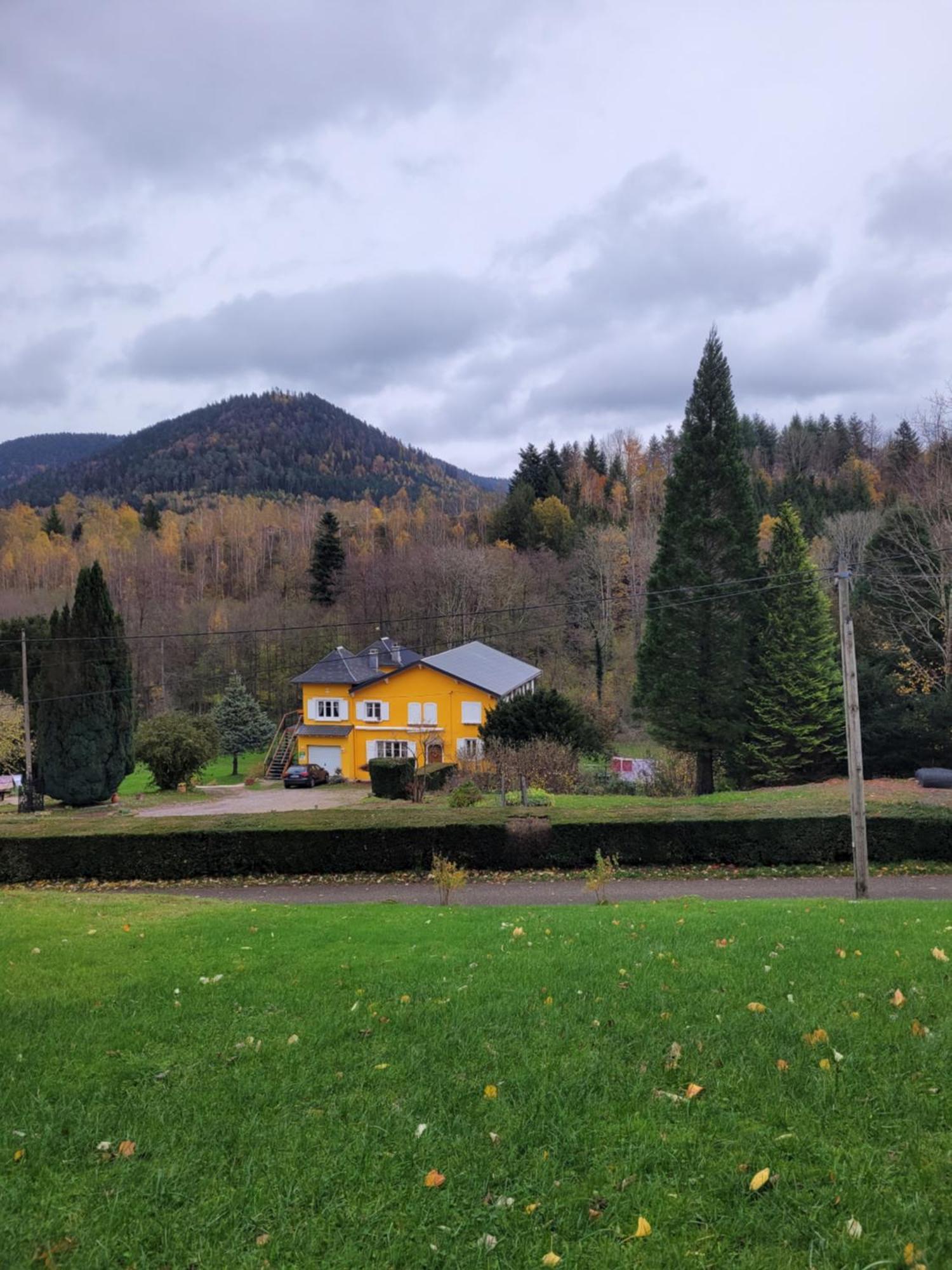 Gite Forestier Du Moulin Raon-sur-Plaine Dış mekan fotoğraf