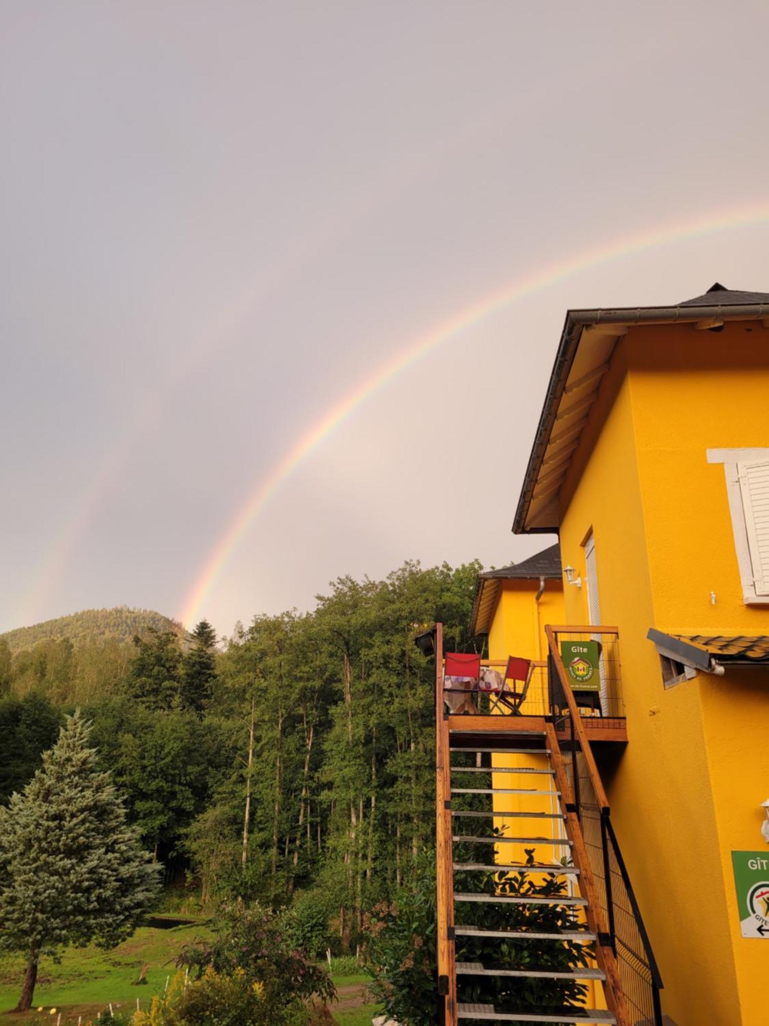 Gite Forestier Du Moulin Raon-sur-Plaine Dış mekan fotoğraf