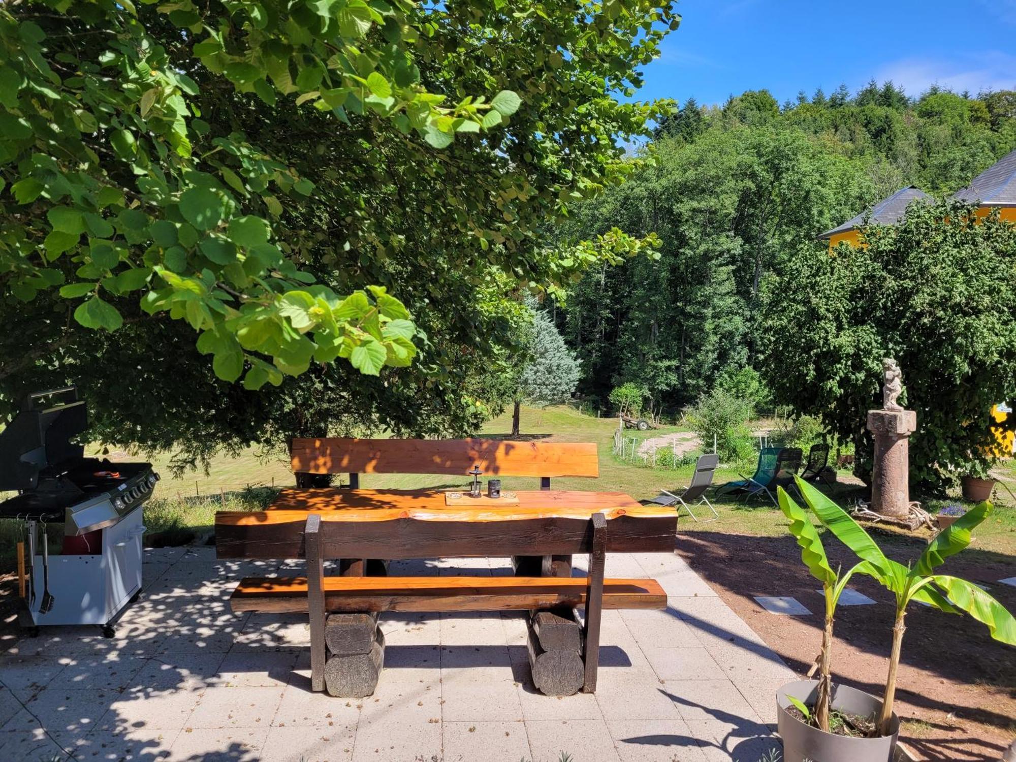 Gite Forestier Du Moulin Raon-sur-Plaine Dış mekan fotoğraf