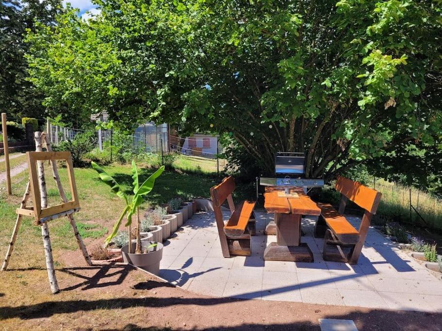 Gite Forestier Du Moulin Raon-sur-Plaine Dış mekan fotoğraf