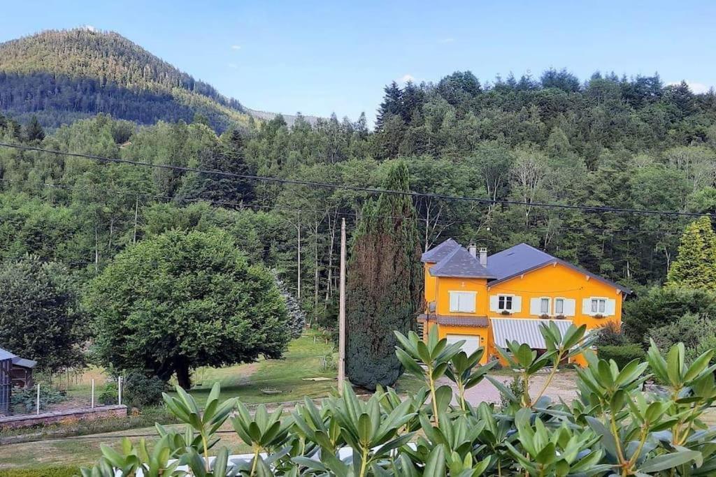 Gite Forestier Du Moulin Raon-sur-Plaine Dış mekan fotoğraf