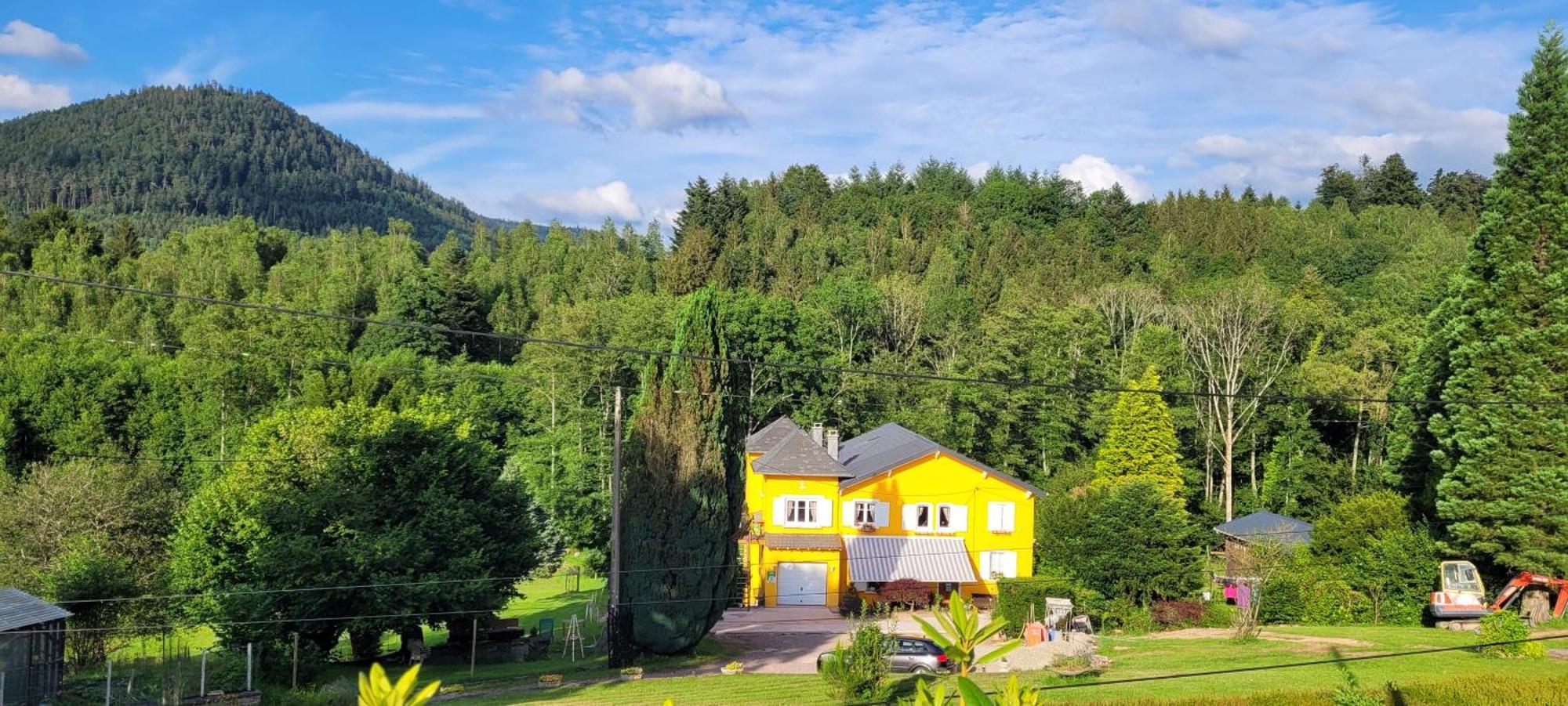 Gite Forestier Du Moulin Raon-sur-Plaine Dış mekan fotoğraf