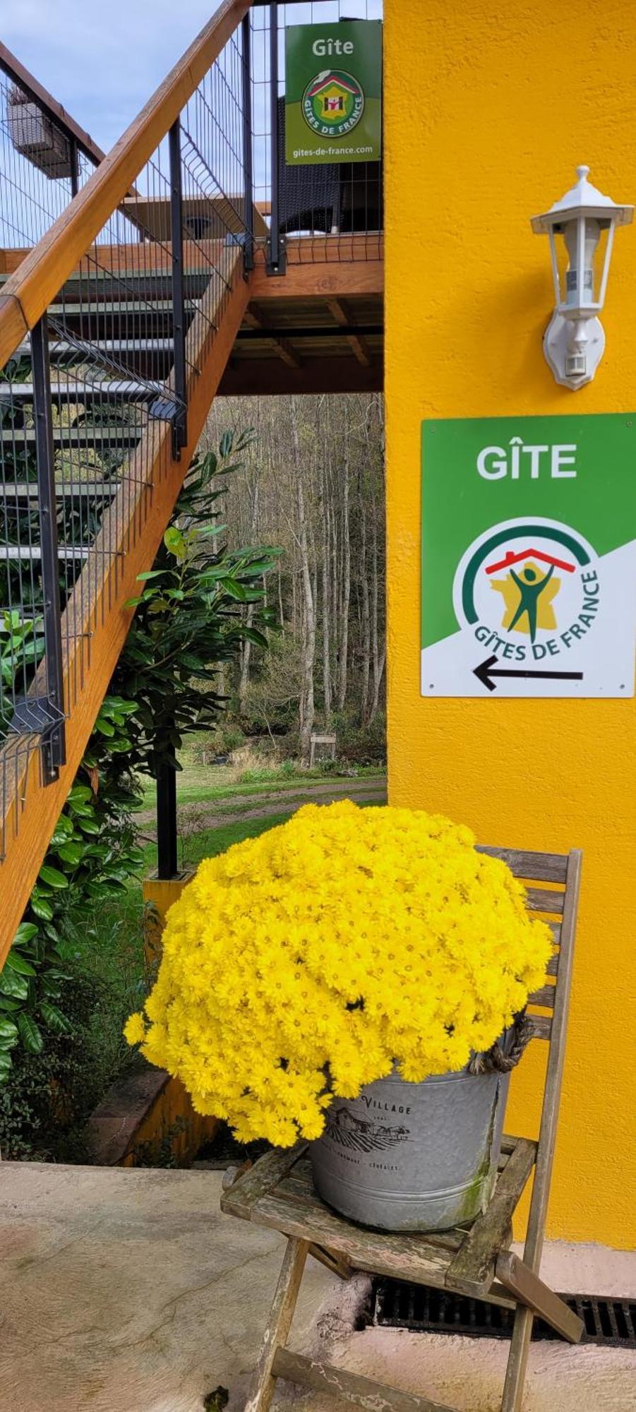 Gite Forestier Du Moulin Raon-sur-Plaine Dış mekan fotoğraf