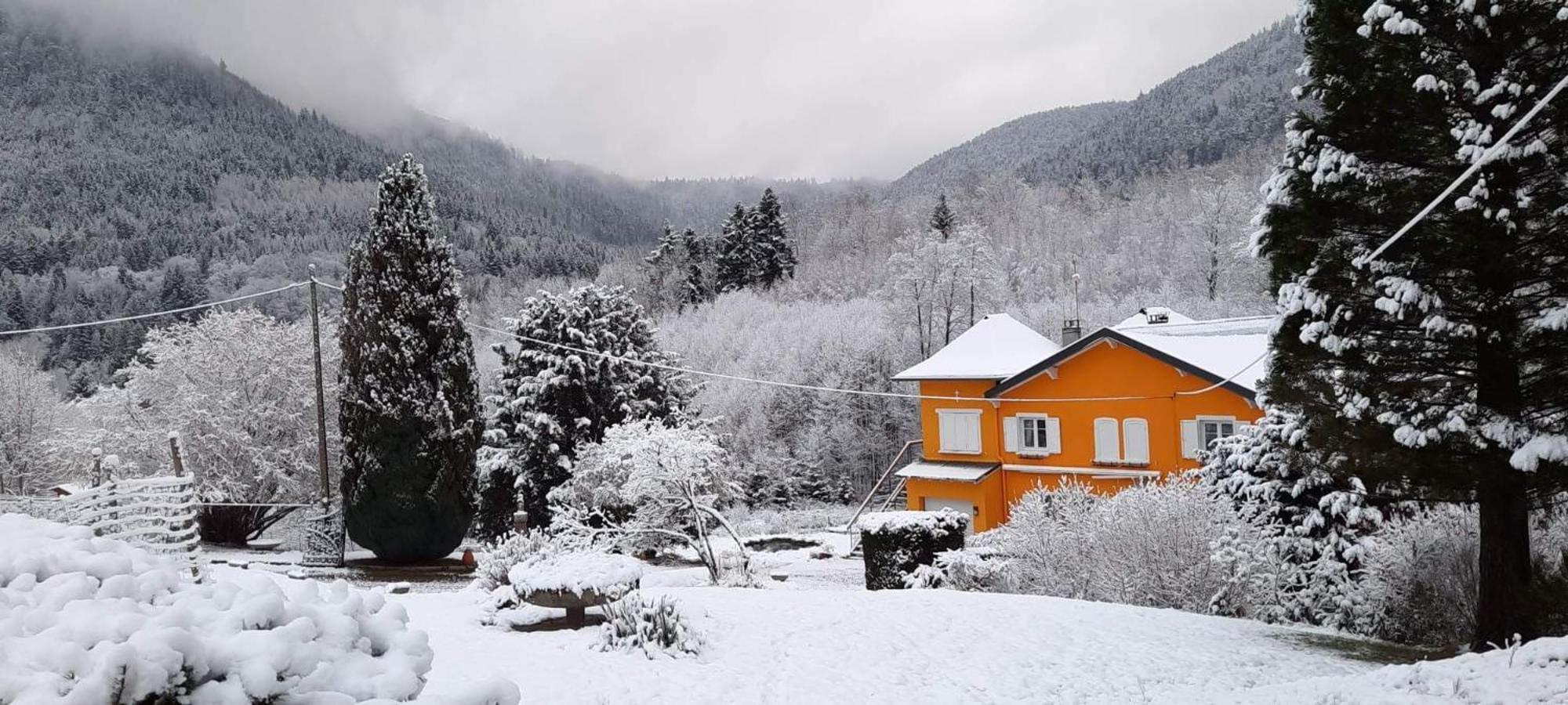 Gite Forestier Du Moulin Raon-sur-Plaine Dış mekan fotoğraf